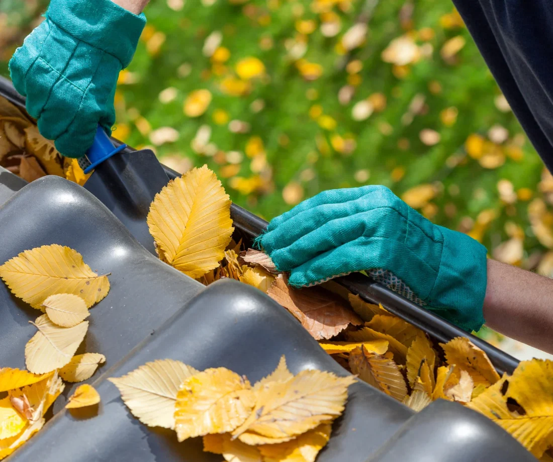 guttercleaningservices